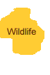Wildlife Gallery